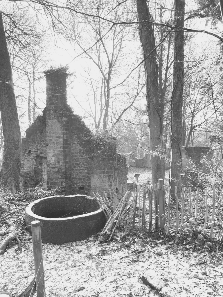 The ruined smithy at Lumsdale — an ivy-covered chimney beside a circular stone trough and timber fence.